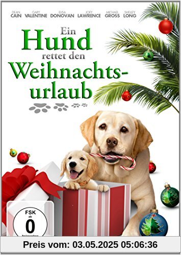 Ein Hund rettet den Weihnachtsurlaub von Michael Feifer
