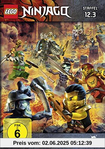 Lego Ninjago - Staffel 12.3 von Michael Hegner