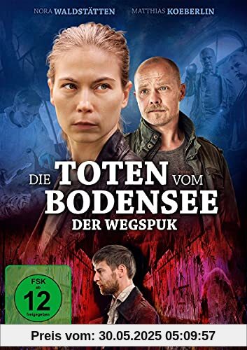 Die Toten vom Bodensee: Der Wegspuk von Michael Schneider
