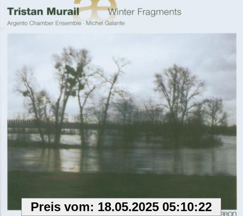 Mumail: Winter Fragmente / Unanswered Questions /+ von Michel Galante