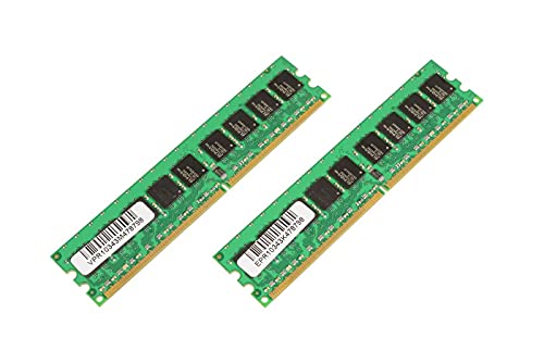 MICROMEMORY 4 GB Kit DDR2 667 MHz ECC – Arbeitsspeicher (4 GB, DDR2, 667 MHz) von MicroMemory