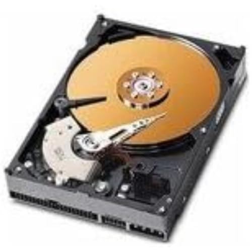 MicroStorage 160 GB 3.5 IDE 133 160 GB IDE/ATA von MicroStorage