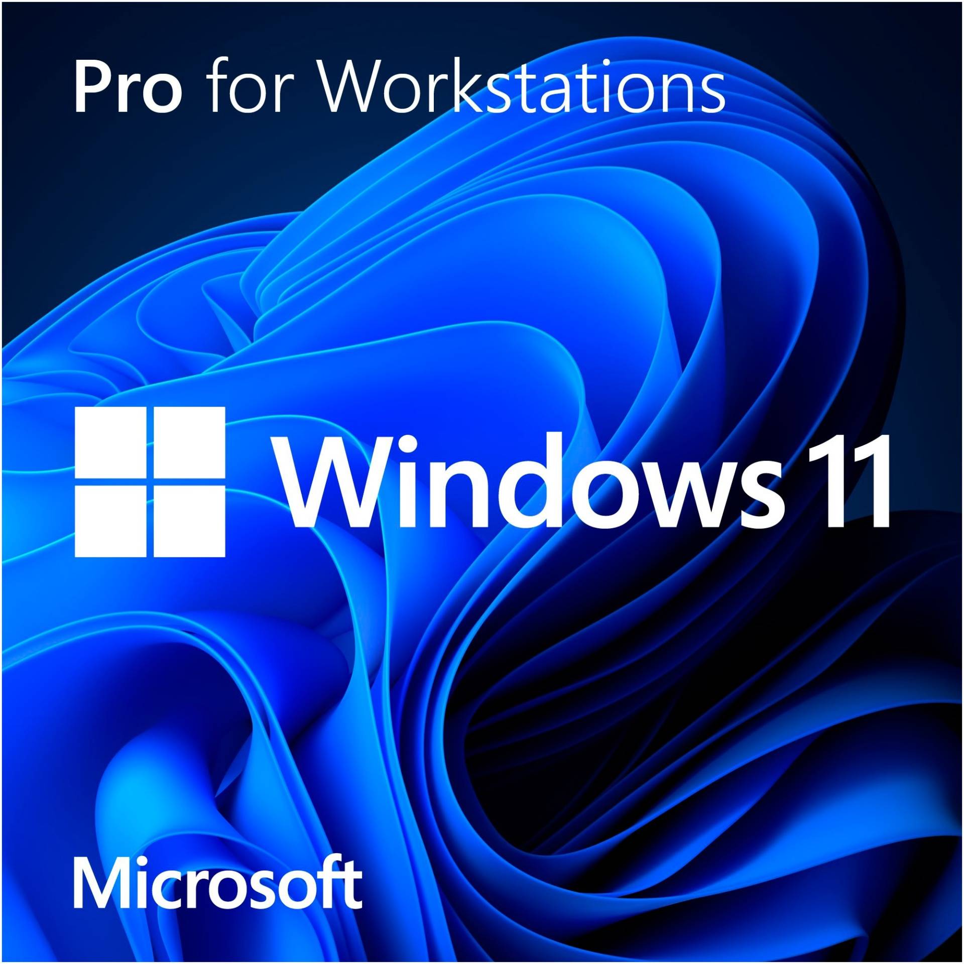 Windows 11 Pro for Workstations, Betriebssystem-Software von Microsoft