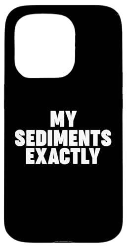 My Sediments Exactly Hülle für iPhone 15 Pro My Sediments Exactly Hülle für iPhone 15 Pro von Miftees Geology Tees