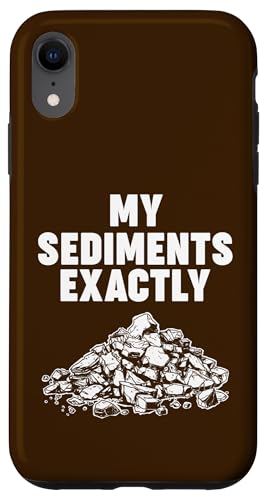 My Sediments Exactly Hülle für iPhone XR My Sediments Exactly Hülle für iPhone XR von Miftees Geology Tees