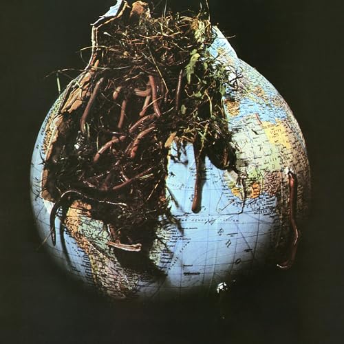 Drosselbart (Ltd. Colored Vinyl) [Vinyl LP] von Mig / Indigo