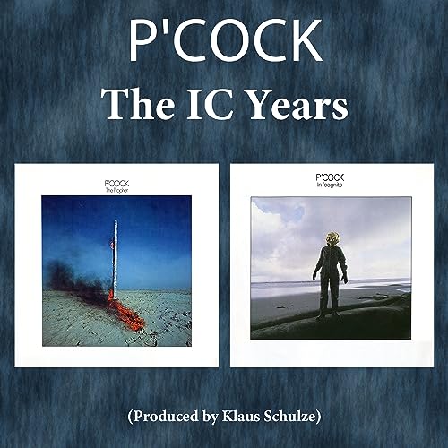 The Prophet & in 'Cognito von Mig / Indigo