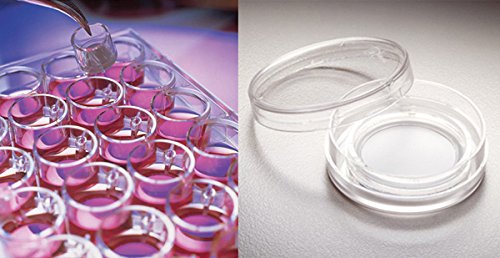 MILLIPORE 044003 Millicell Membrankulturkammereinsatz für Platten 6 oder 24 Mulden MILLIPORE 044003 Millicell Membrankulturkammereinsatz für Platten 6 oder 24 Mulden von Millipore