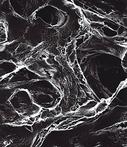 MILLIPORE 044176 LCR Membranfilter, Poren 0,45 µm, Durchmesser 13 mm, Millipore (100 Stück) von Millipore