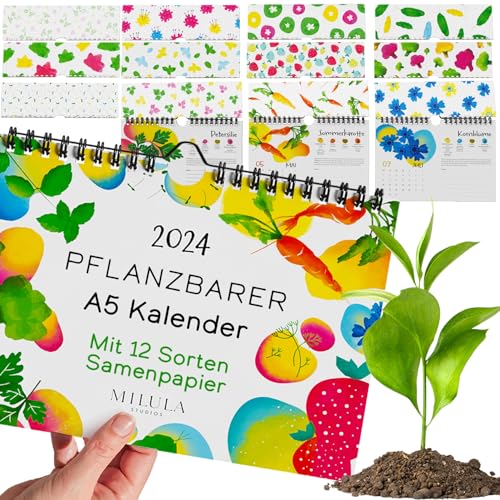 Einpflanzbarer Kalender Wandkalender 2024-12 Saisonale EU Samen zum Einpflanzen - Monatskalender 2024 - Saisonale Obst, Gemüse, Kräuter & Pflanzen Samen - Saatkalender 2024 von Milula Studios