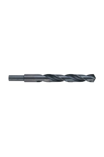 Broca HSS Eje Reducido 20.0x205 von Milwaukee