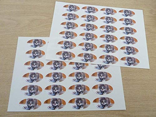 Pack Of 48 Katze 40x20mm Ovale Siegel Etiketten,Aufkleber Dekoration,Geschenke Geschenke,Umschläge,Taschen oder Karten von Minilabel