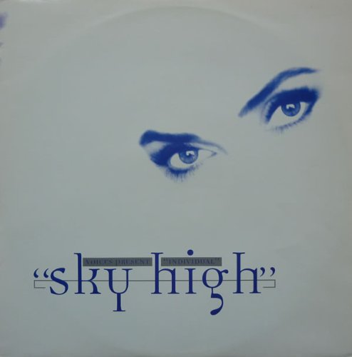 Sky high (5 versions, incl. Satoshie's Interpretation, 1995) [Vinyl Single] von Ministry Of Sound