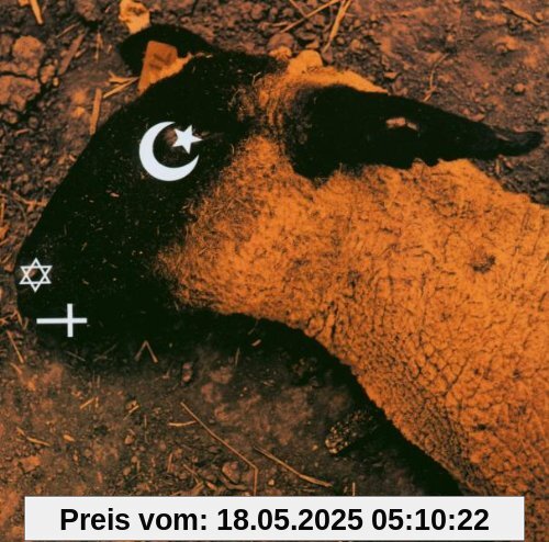 Animositisomina von Ministry