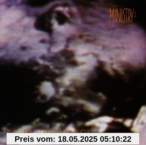 The Land of Rape and Honey von Ministry
