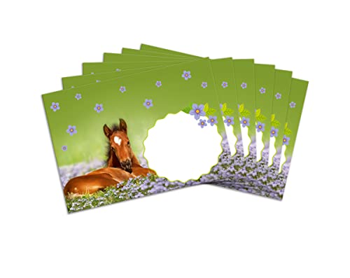 Umschläge mit Kindermotiv Pferd für Mädchen Briefumschläge für Einladungskarten Gutscheine Geldgeschenke DIN C6 (15 Umschläge/selbstklebend mit Abziehstreifen) von Minkocards