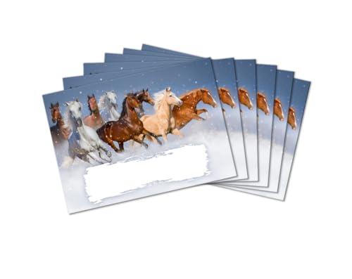 Umschläge mit Kindermotiv Pferde für Mädchen Briefumschläge für Einladungskarten Gutscheine Geldgeschenke DIN C6 (15 Umschläge/selbstklebend mit Abziehstreifen) von Minkocards