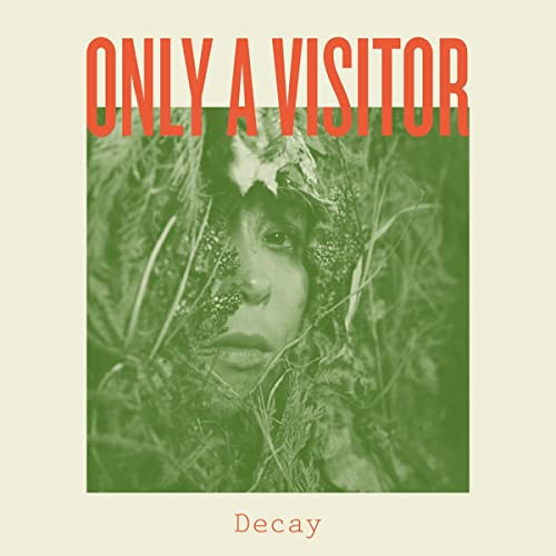 Decay [Vinyl LP] von Mint (Broken Silence)