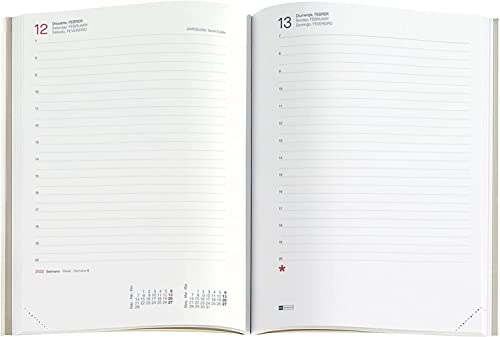Miquelrius - Ersatzkalender Tasche 2023 (Januar 2023 Dezember 2023) - Tag Seite - Plus Größe 155 x 213 mm (ca. A5) - Katalanisch von Miquelrius