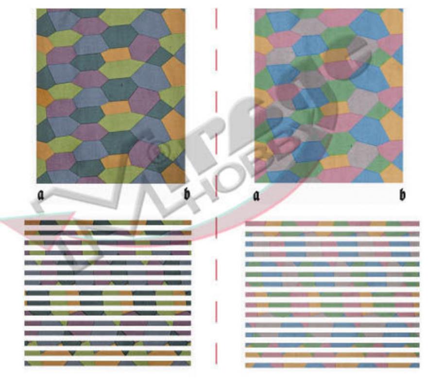 Lozenge Day, five color, dark & light Lozenge Day, five color, dark & light von Mirage Hobby