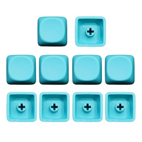 10 x PBTs Rohlinge Tastenkappen, mechanische Tastaturen, 1U MOA, Höhe nicht drucken, Tastenkappen-Set für MX-Switches von Mirweon