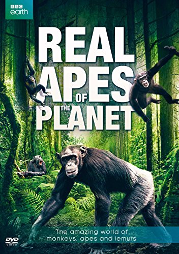Real Apes of the Planet [DVD-AUDIO] [DVD-AUDIO] von Mis