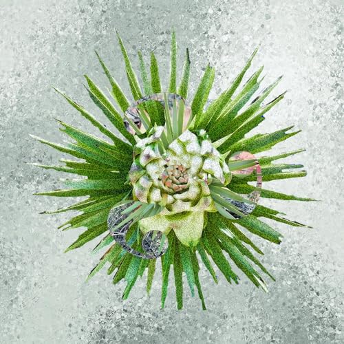 How??? [Vinyl LP] von MISRA RECORDS