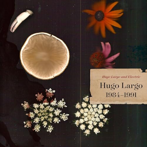 Huge, Large and Electric: Hugo Largo 1984-1991 [Vinyl LP] von Missing Piece Records