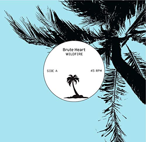 Wildfire [Vinyl Single] von Mississippi