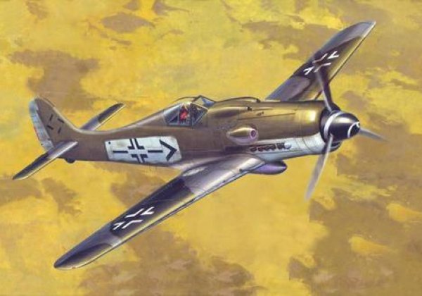 Focke-Wulf Fw 190 D-9 Rudel von Mistercraft