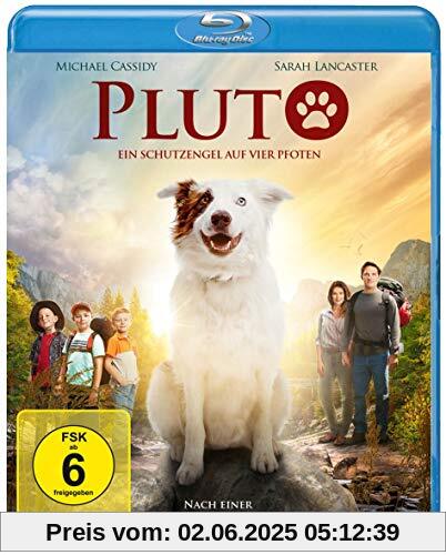 Pluto - Ein Schutzengel auf vier Pfoten [Blu-ray] von Mitch Davis