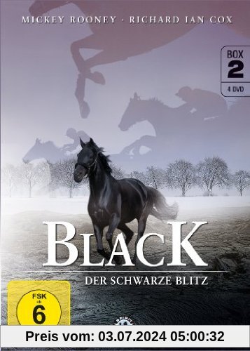 Black, der schwarze Blitz - Box 2 [4 DVDs] von Mitchell Gabourie