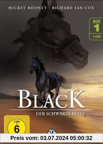 Black - Der schwarze Blitz DVD 1 von Mitchell Gabourie