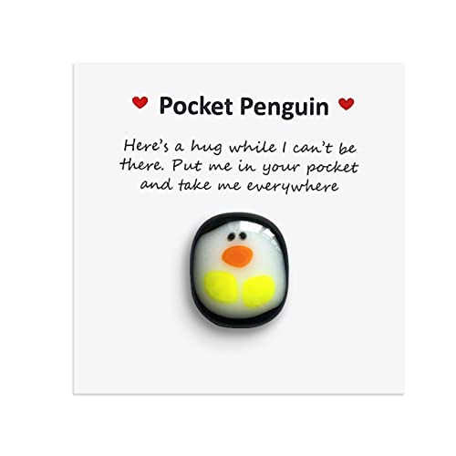 A Little Pocket Pinguin Hug,Mini Animal Pocket Hug Pinguin,Special Penguin Pocket Ornament,Pocket Gifts for Men Women von Mnixy