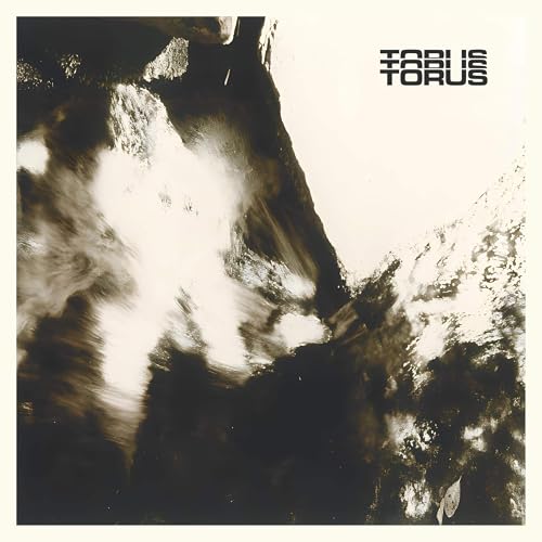 Torus [Vinyl LP] von Mnrk Music Group (SPV)