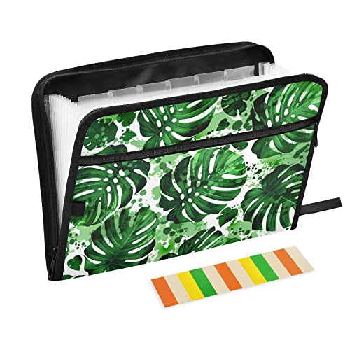 Monstera Fächermappe mit Blättern, 13 Taschen, Akkordeon-Reißverschluss, Dokumenten-Organizer, A4-Briefpapier, Quittungsmappe für Klassenzimmer, Zuhause, Büro und Reisen Monstera Fächermappe mit Blättern, 13 Taschen, Akkordeon-Reißverschluss, Dokumenten-Organizer, A4-Briefpapier, Quittungsmappe für Klassenzimmer, Zuhause, Büro und Reisen von Mnsruu