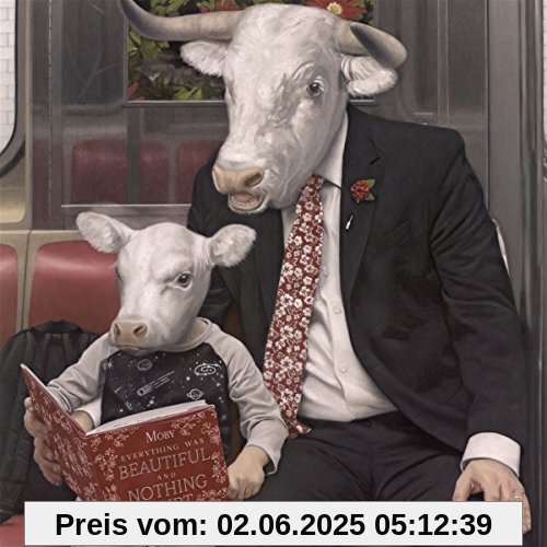 Everything Was Beautiful, And Nothing Hurt [Vinyl LP] von Moby