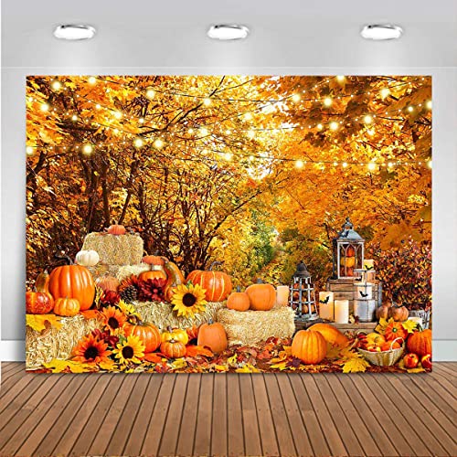 Mocsicka Herbst Wald Kürbisse Fotografie Hintergrund Herbst Natürliche Landschaft Ahorn Wald Blätter Foto Hintergrund Vinyl Ernte Thanksgiving Kürbis Baby Portrait Fotoautomat Banner (2,1 x 1,5 m) von Mocsicka