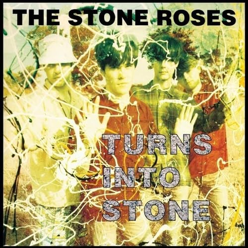 Turns Into Stone [Vinyl LP] von Modern Classics