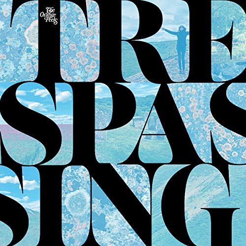 Trespassing [Vinyl LP] von Modern Harmonic