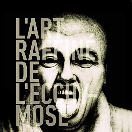 L'Art Raffine De L'Ecchymose [Vinyl LP] von Modulor