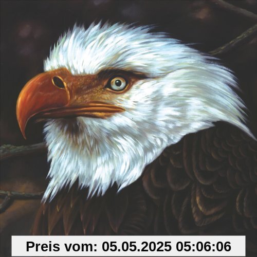 The Hawk Is Howling von Mogwai
