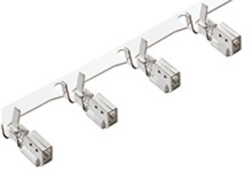 Molex MI-II/Mini MI-II 503728000-12000 Inhalt: 12000St. von Molex