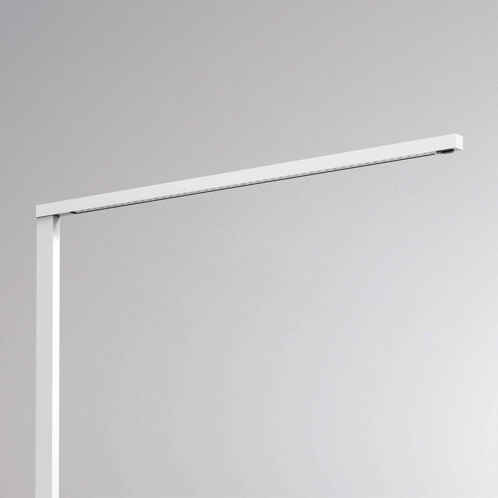 Molto Luce Lens Short Double F Sensor weiß Molto Luce Lens Short Double F Sensor weiß von Molto Luce