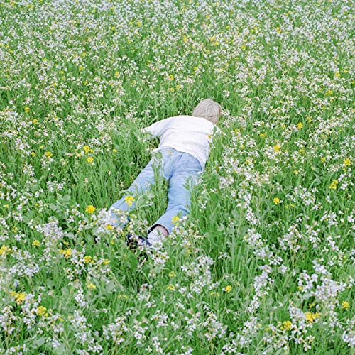 Nurture [Vinyl LP] von Mom+Pop