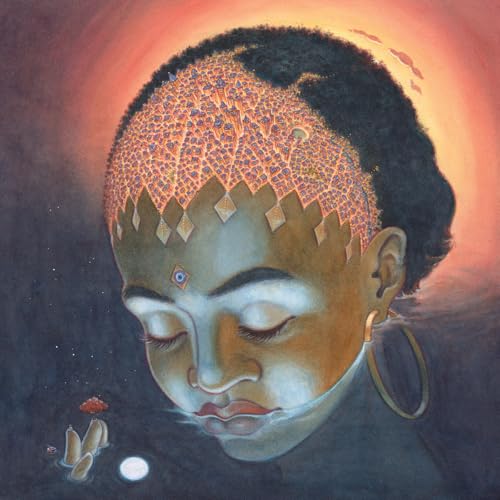 Orion [Vinyl LP] von Mom+Pop