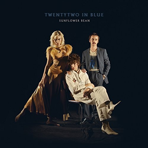 Twentytwo In Blue [Musikkassette] von Mom+Pop