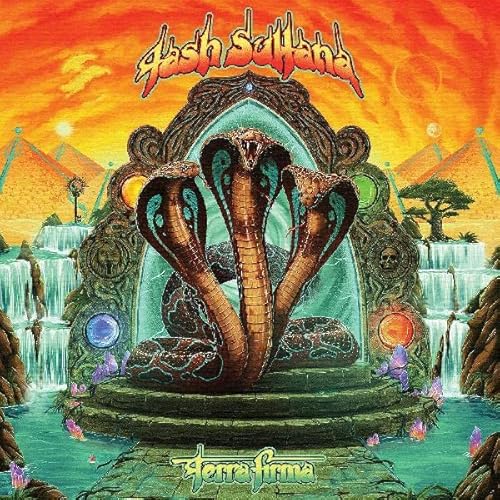 Terra Firma [VINYL] [Vinyl LP] von Mom & Pop Music