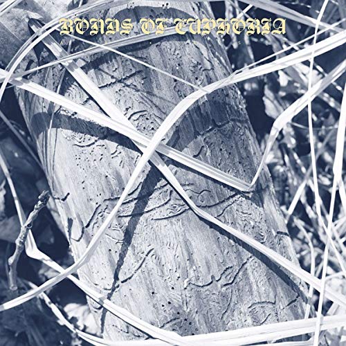 Bonds Of Euphoria [Vinyl LP] von Moment Of Collapse Records (Broken Silence)