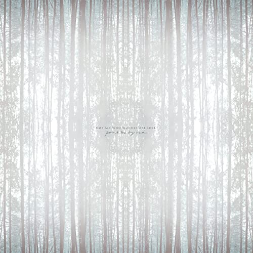 Not All Who Wonder Are Lost [Vinyl LP] von Moment Of Collapse Records (Broken Silence)